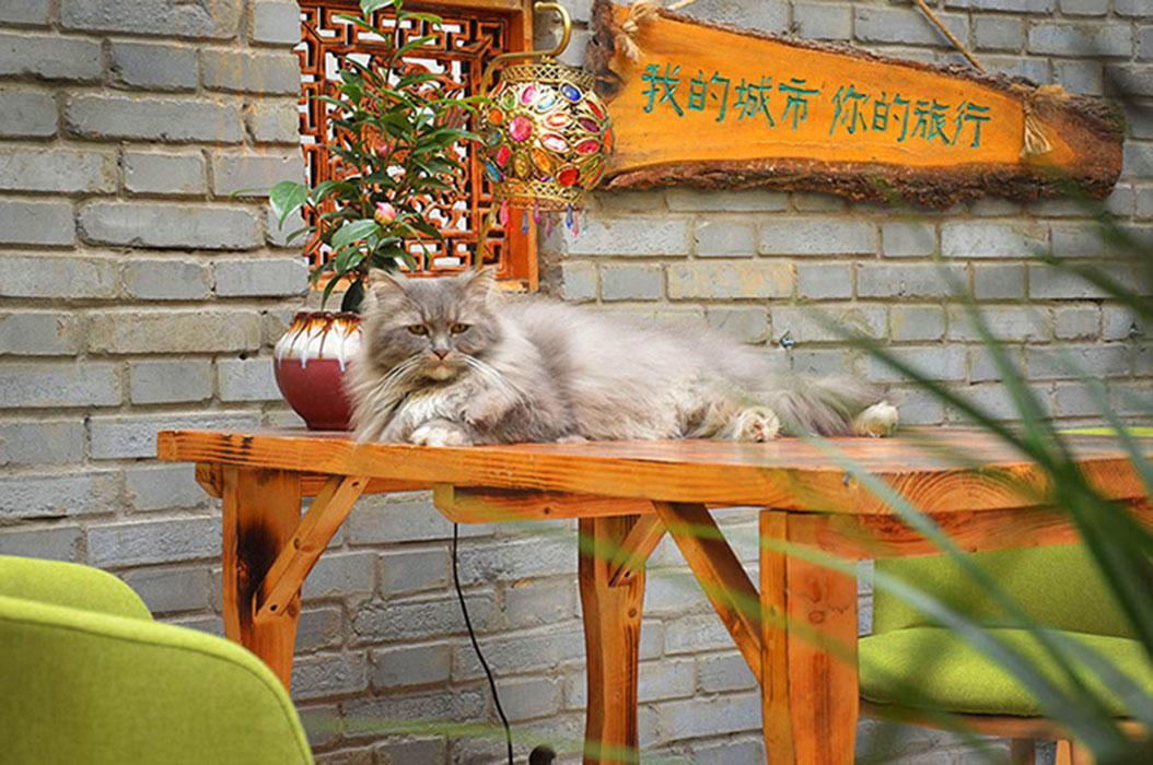 Luoyang Longmen Youth Hostel Eksteriør billede